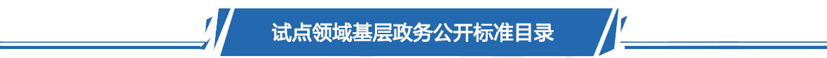 試點領(lǐng)域基層政務(wù)公開標準目錄